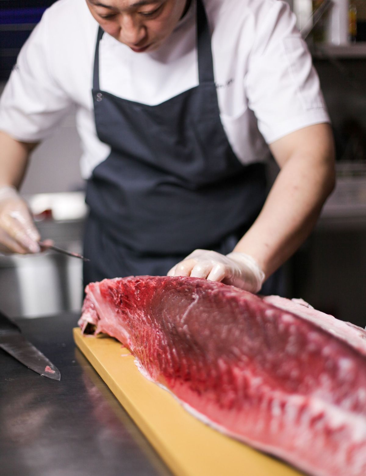 What Are The Most Expensive Cuts of Bluefin Tuna?