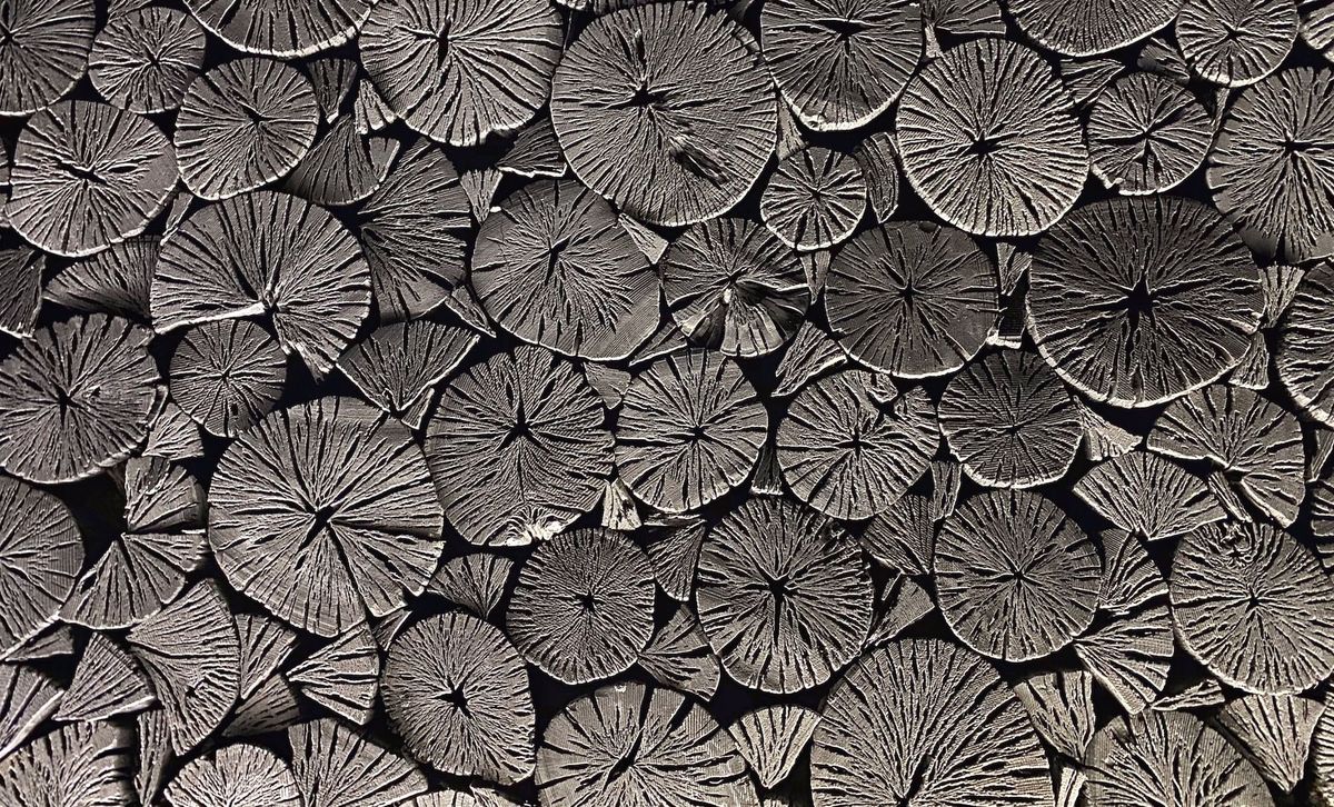 Kishu Binchōtan: The Luxury Charcoal Behind Japanese Grilling