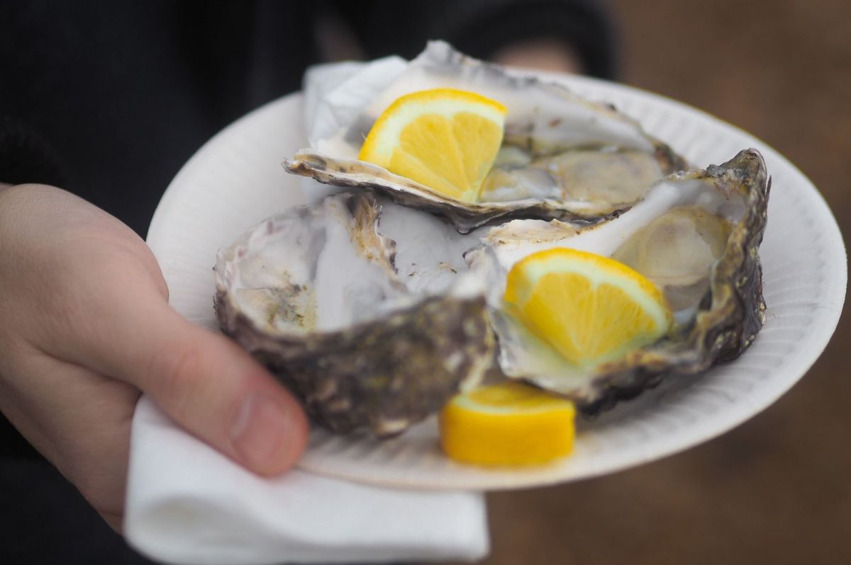 Exquisite Marennes-Oléron PGI: France's Top Oyster Hub