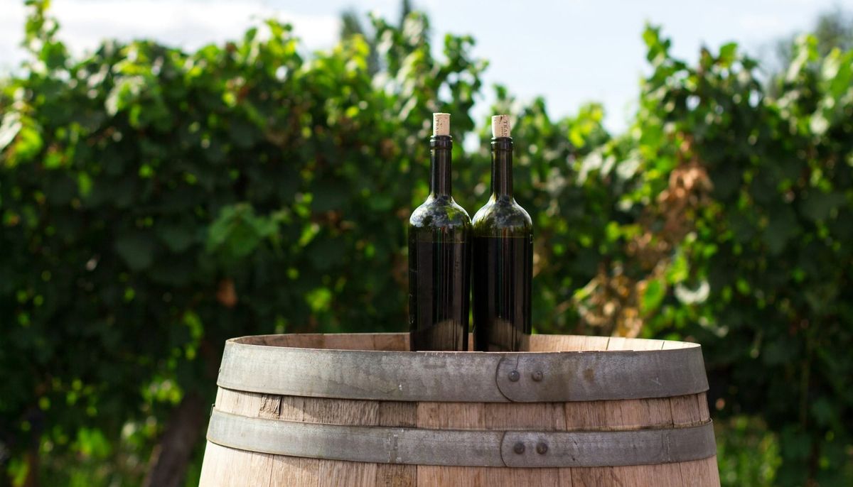 Why Is Burgundy Wine So Expensive?