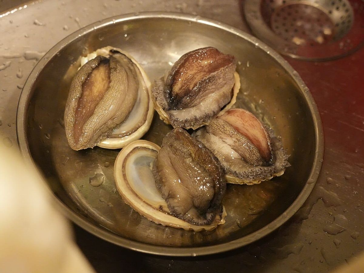 Understanding Dried vs Fresh Abalone