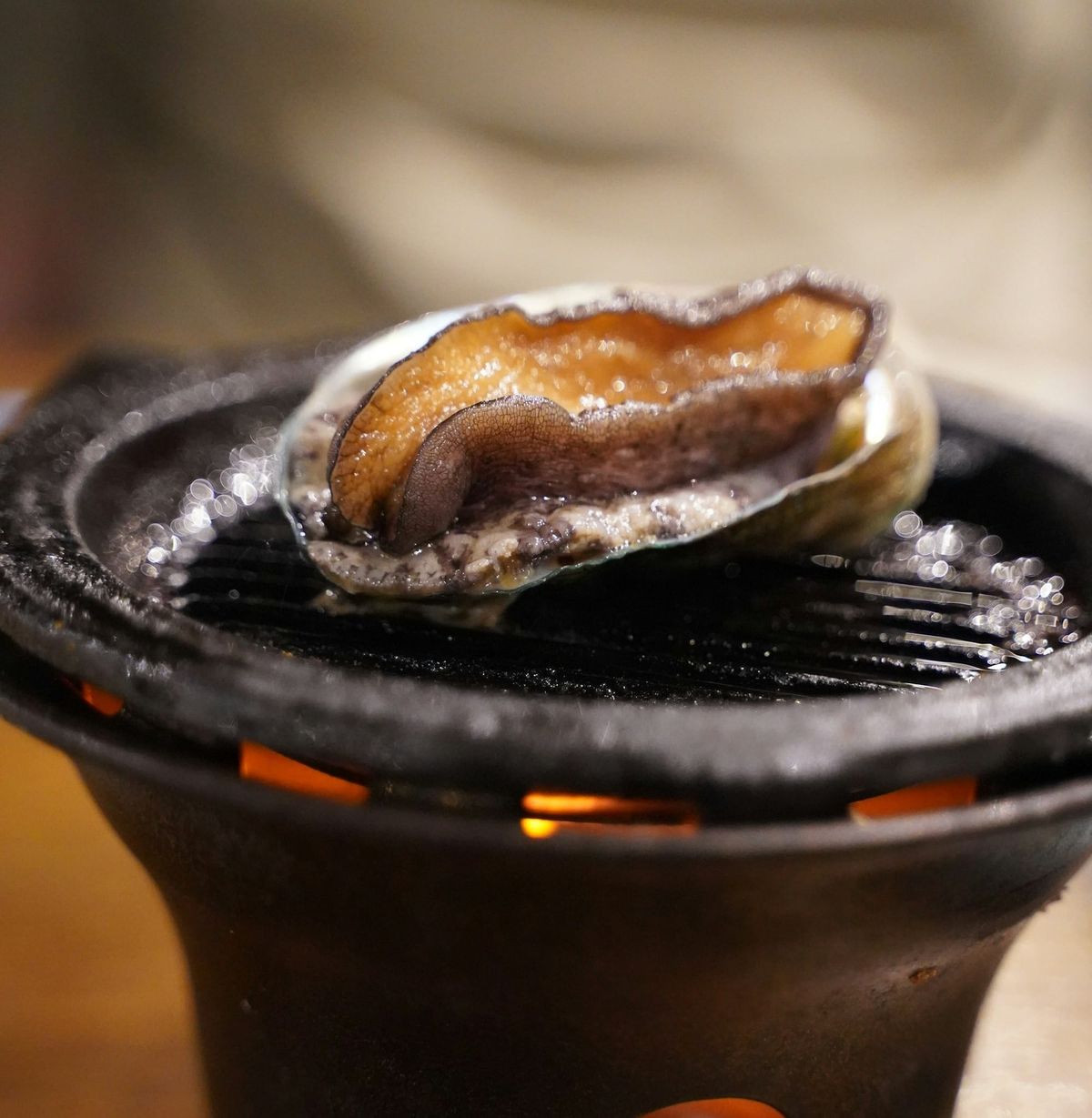 Global Premium Dried Abalone: Luxury Brands & Varieties