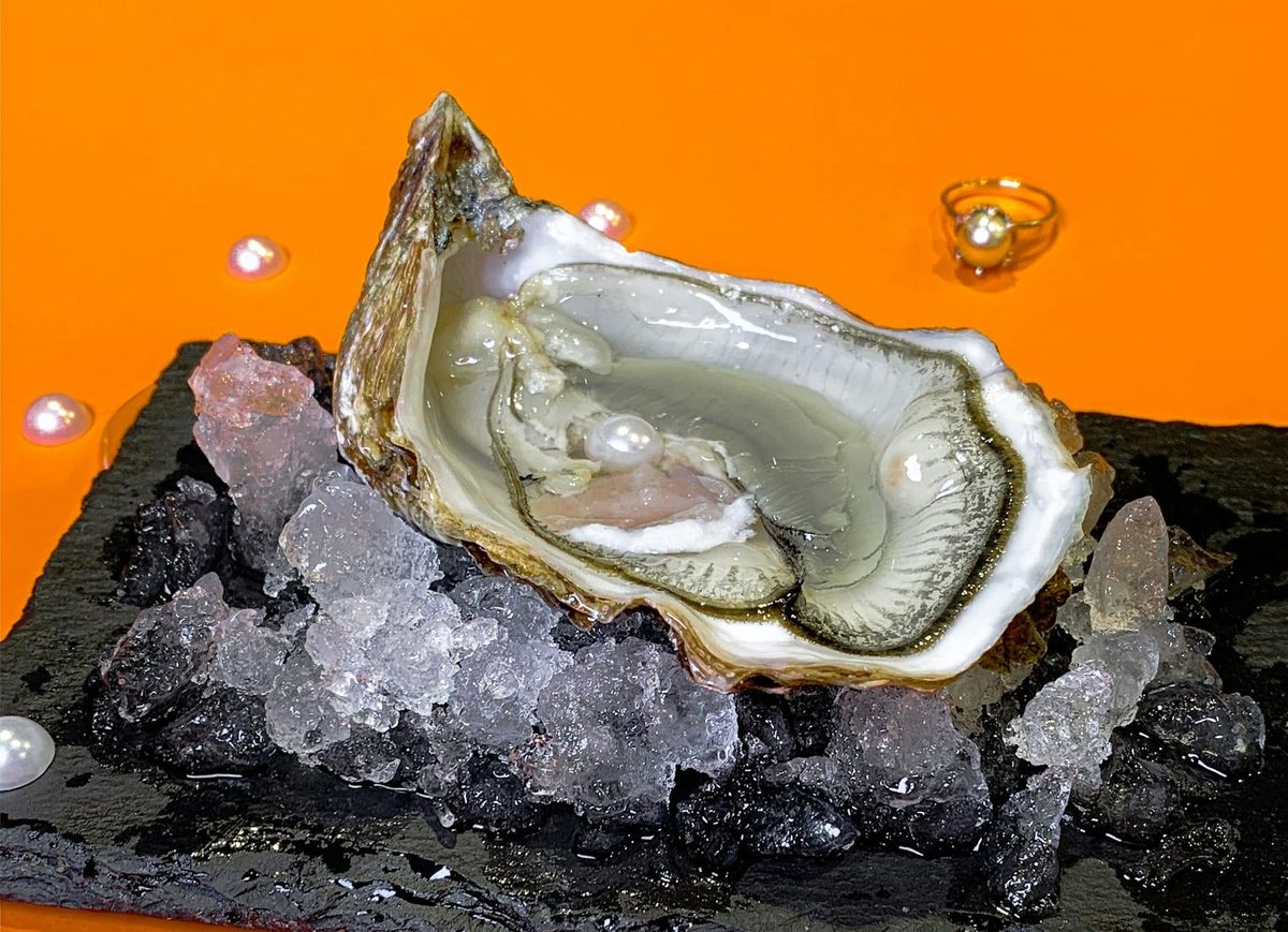 The Premium Oyster Hierarchy: From Elite to Ultra-Exclusive Varieties