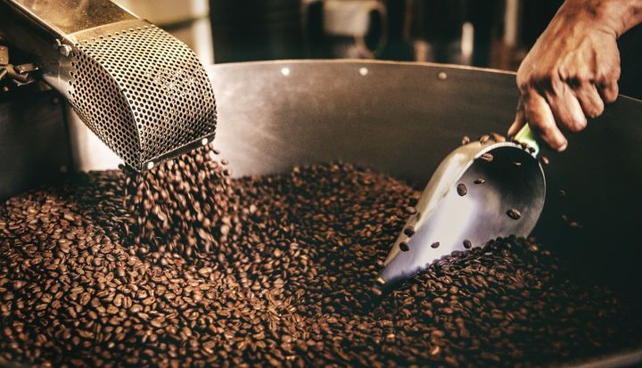 Panama Geisha: World's Most Expensive Coffee