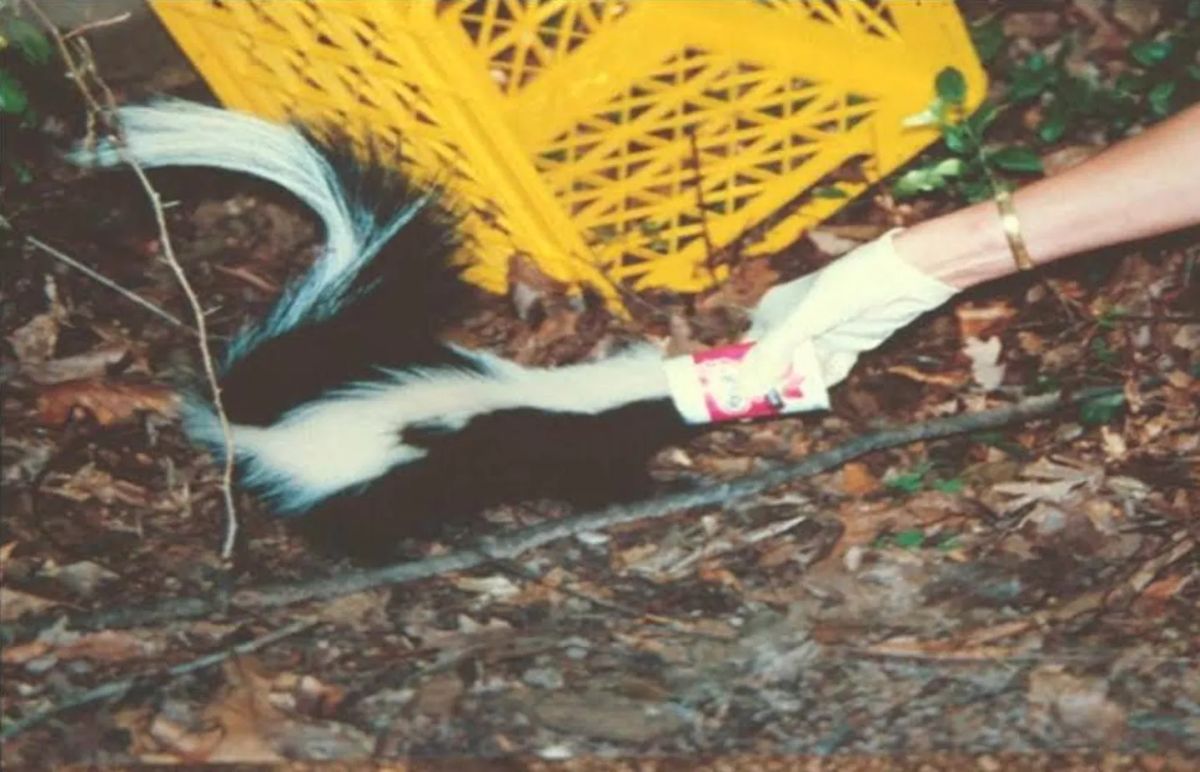 Yoplait Yogurt Cups Have Been Killing Small Animals For Years