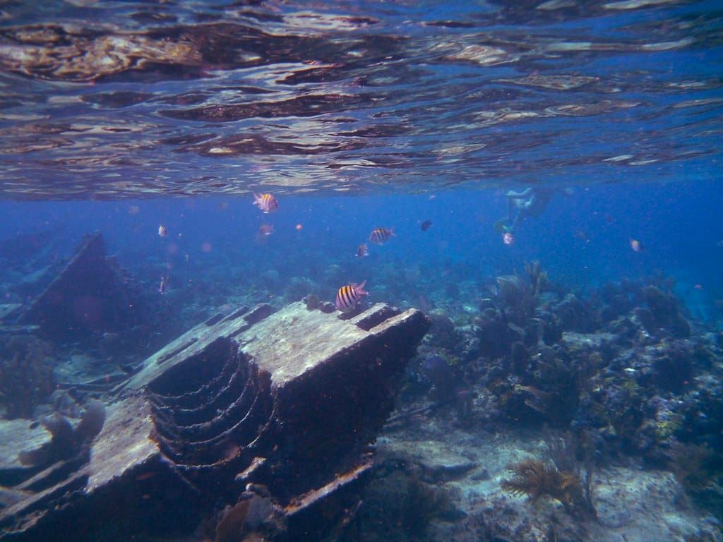 Industrial Products Repurposed as Habitats