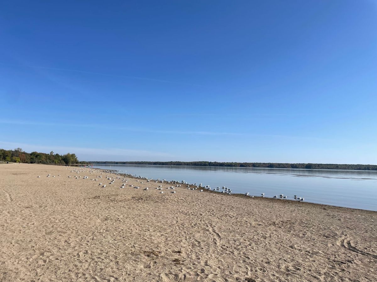 Alum Creek State Park Beach: Litter