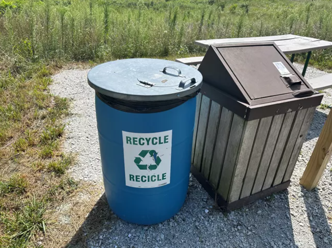 What drives visitors’ use of bins in parks?