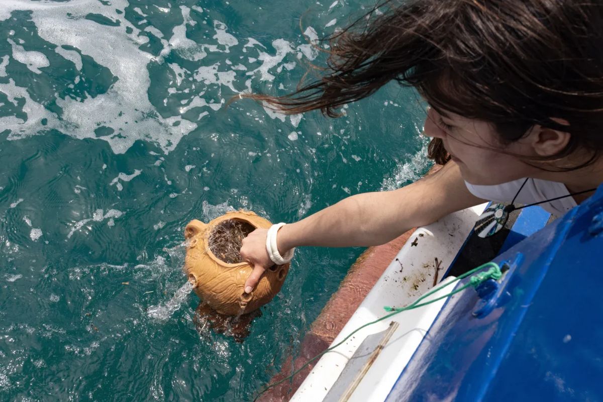 This Underwater Sculpture Garden Protects Italian Fishing Grounds