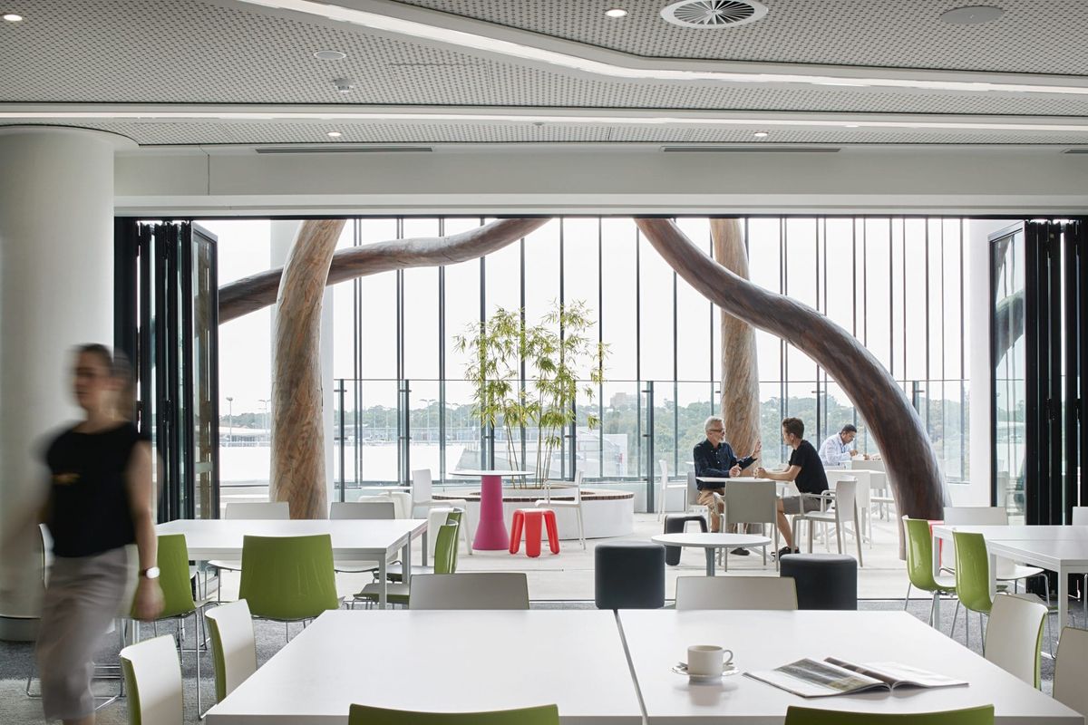 Reimagining Comfort: From Healthcare Spaces to Car Interiors