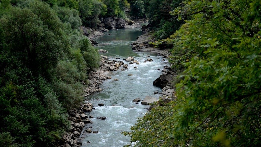 Catfish as a Model for Pollution Technologies