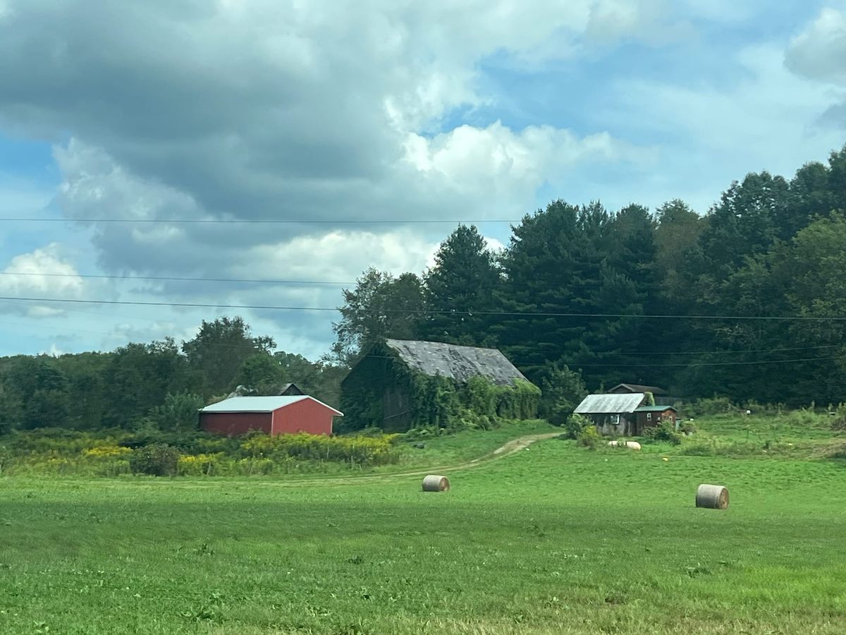 Primary Research | Junction City | Amish Community