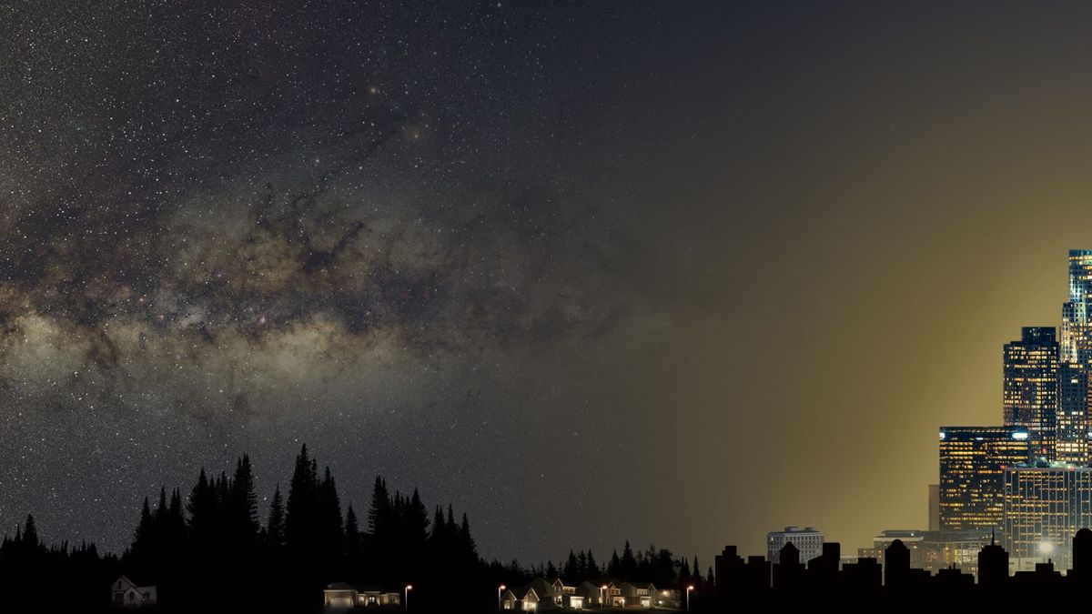 OP-ED: What Happens When We Lose the Night?
