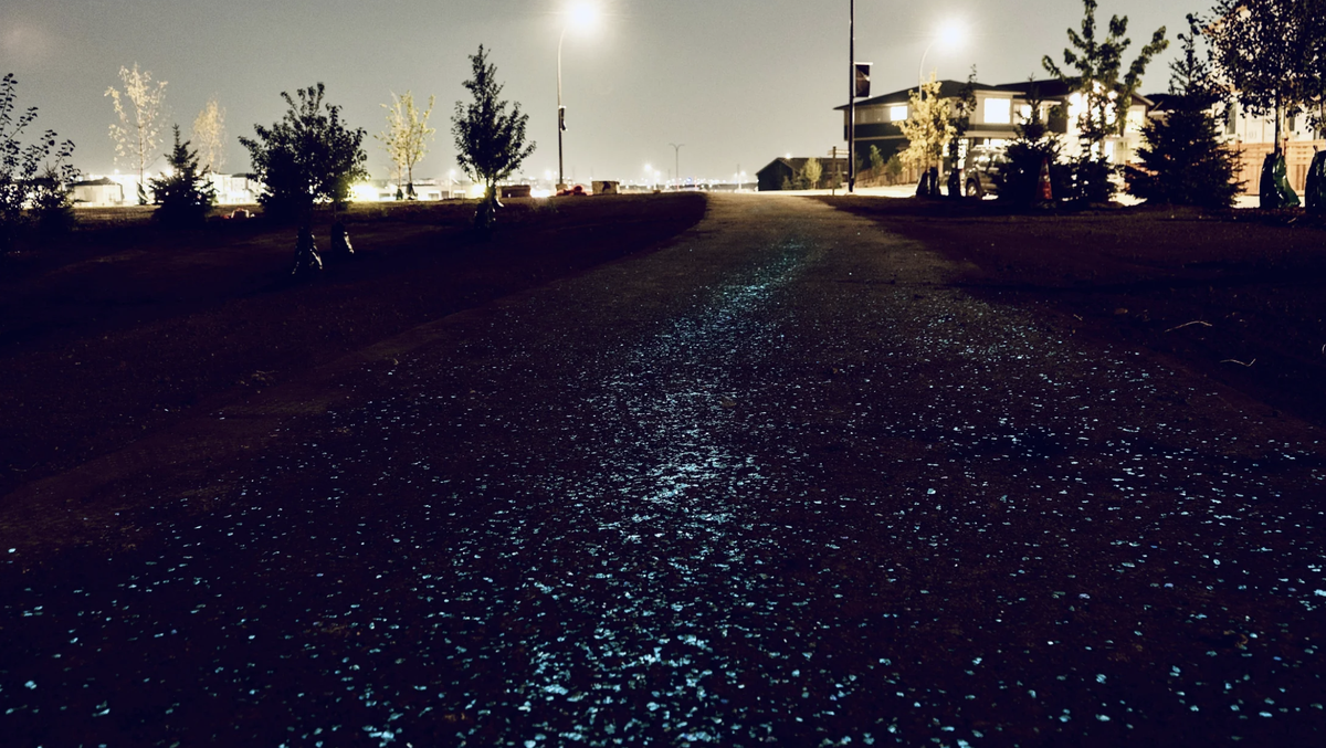 When the Paths Becomes the Light