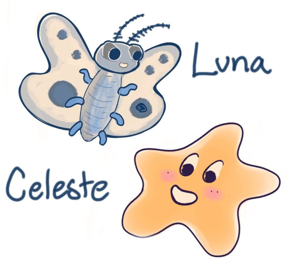 Design Conjecture: Children's Picture Book