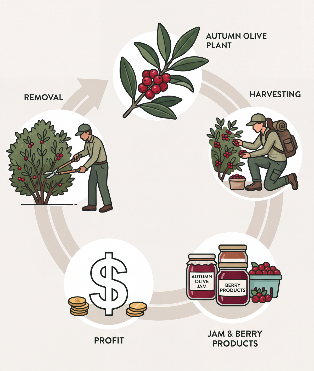 Circular Efforts