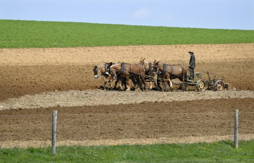 No, Amish kids aren’t immune to cancer, diabetes and autism — and they aren’t vaccine-free, either