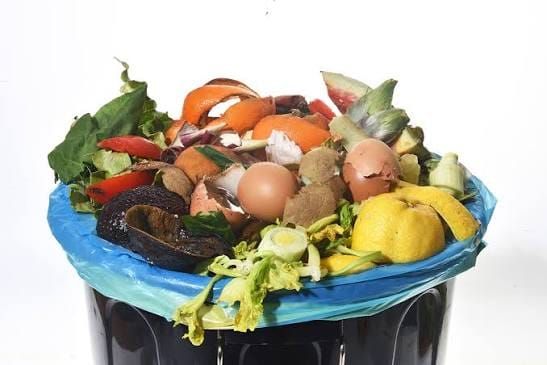 Building a Business on Waste