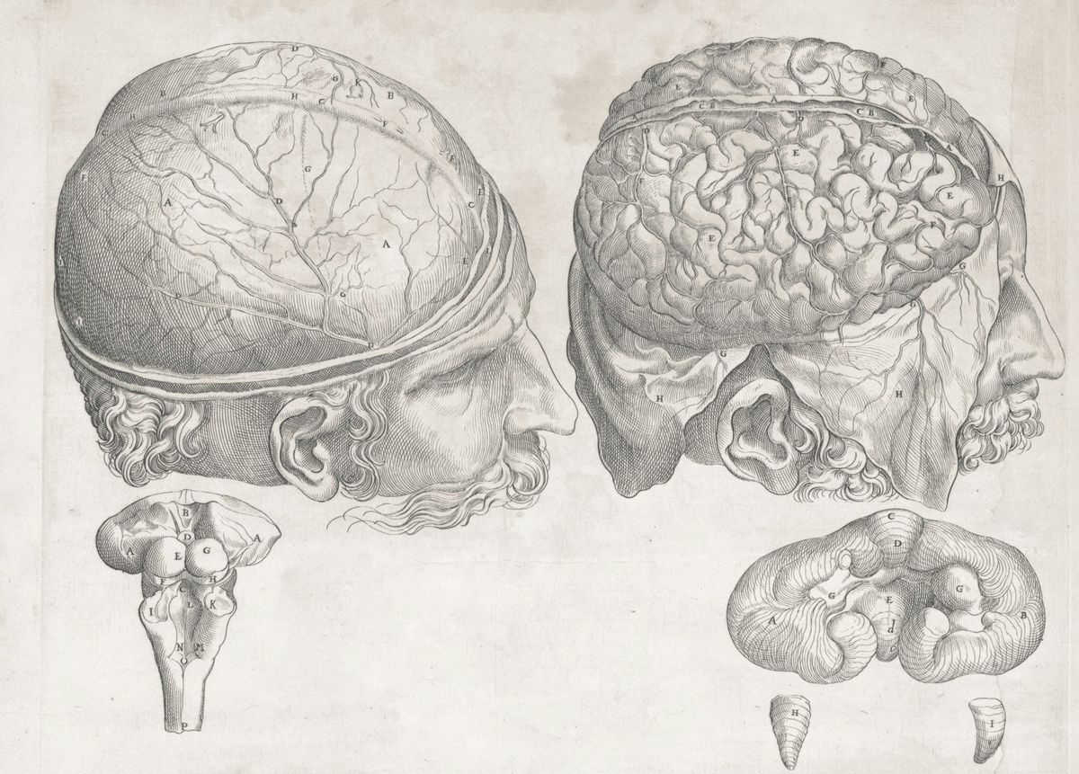 How Our Senses Shape What We Remember