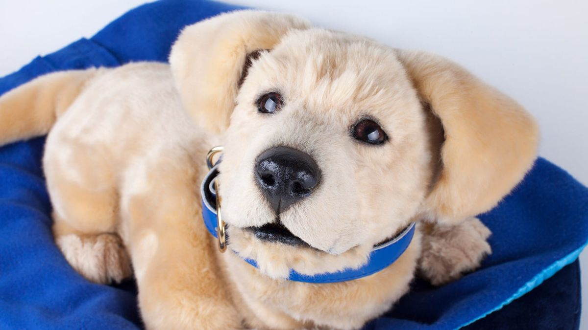 Tombot and Creature Shop create "hyper-realistic" robotic puppy for dementia patients