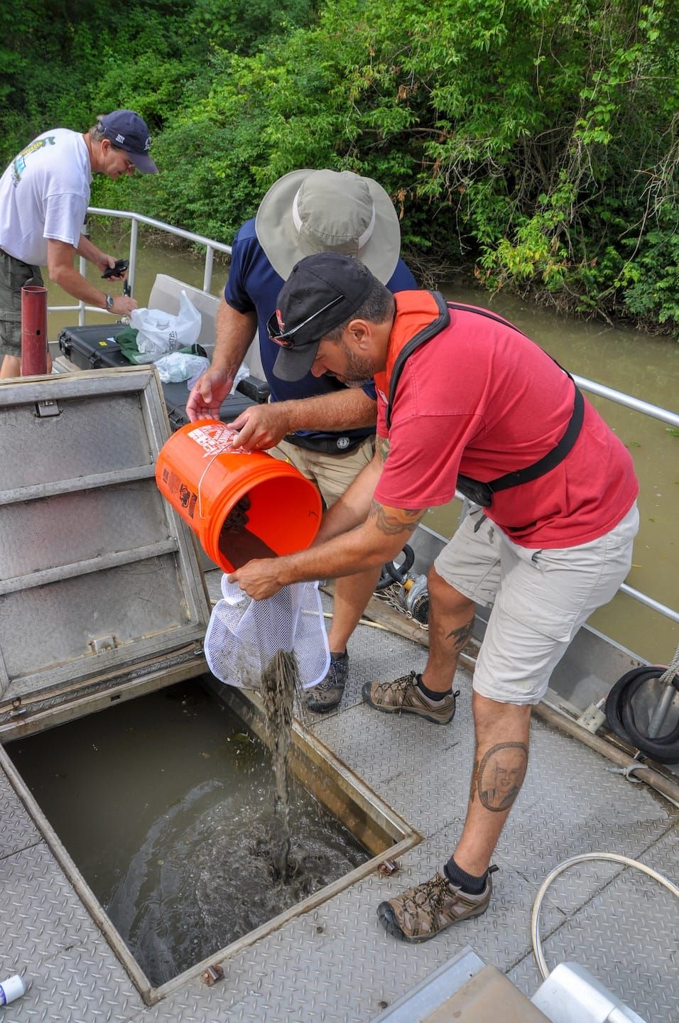 Balancing Control and Concerns in the Realm of Invasive Species