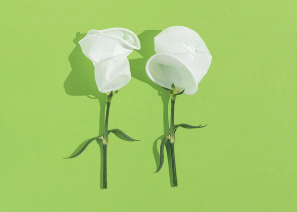 Microplastics Everywhere