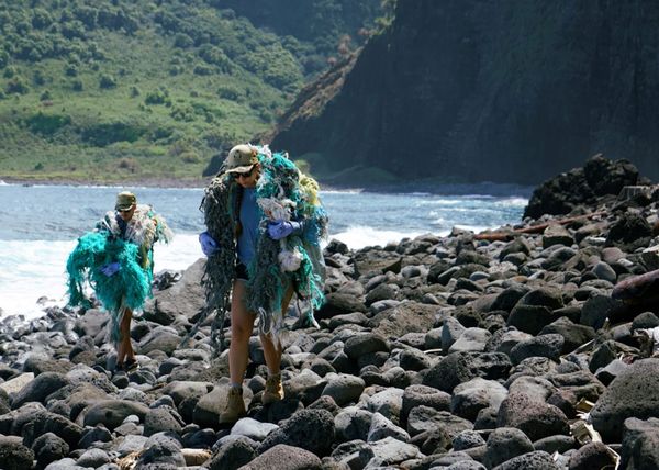 Marine debris in park waterways