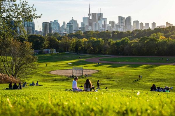 How parks create economic value