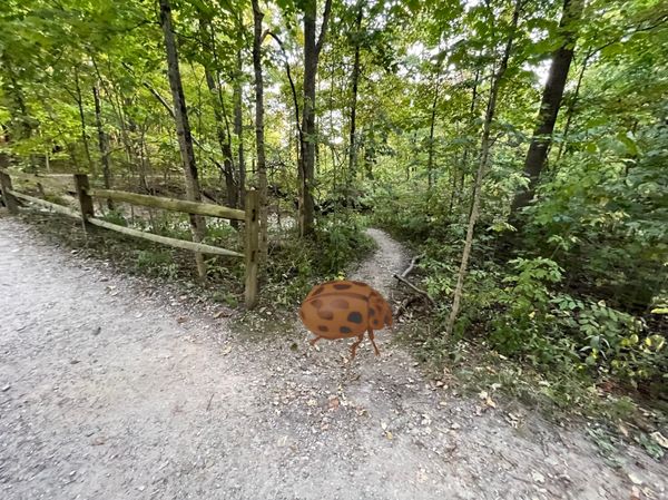 Conjecture: Block This Way