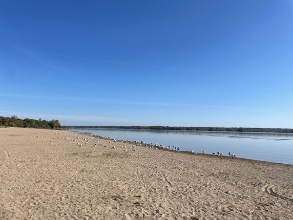Alum Creek State Park Beach: Litter