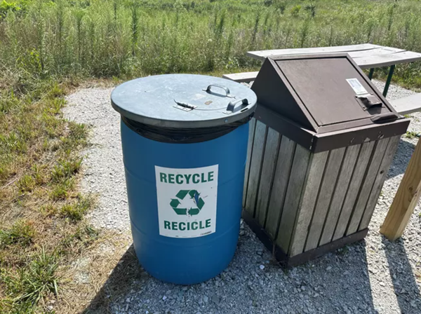 What drives visitors’ use of bins in parks?