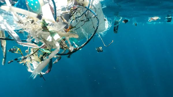 Biodegradable Bioplastic Designed to Tackle Deep Sea Plastic Pollution