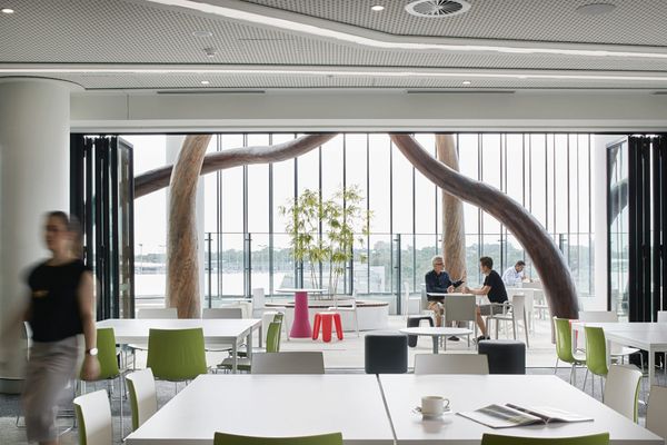 Reimagining Comfort: From Healthcare Spaces to Car Interiors