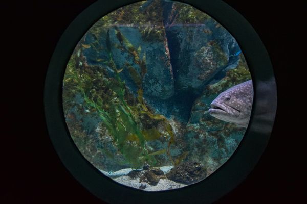 A unique new glimpse into the future of recycling