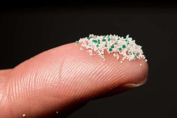 Plastic Pollution