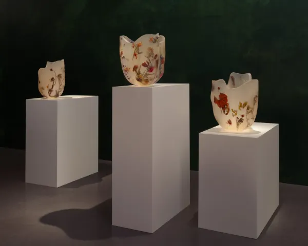 Nature, Preserved