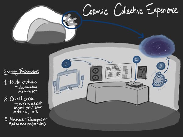 Design Conjecture: Cosmic Collective Experience
