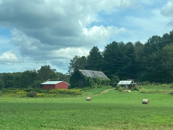 Primary Research | Junction City | Amish Community