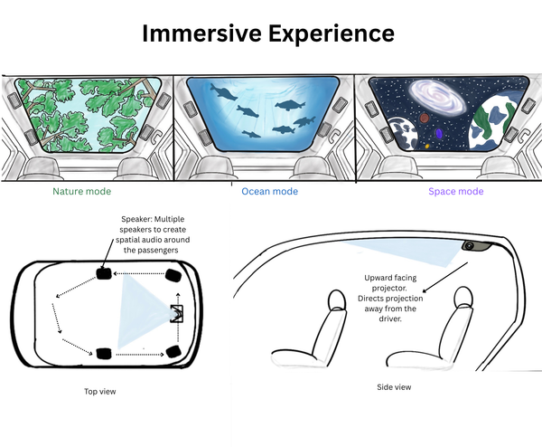 Immersive Experience