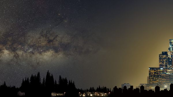 OP-ED: What Happens When We Lose the Night?