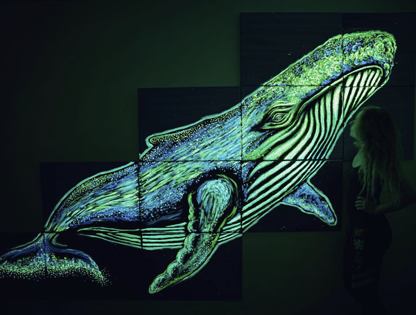 The Potential of Photoluminescent Materials