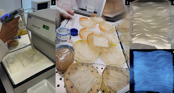 Designing New Possibilities With Living Materials