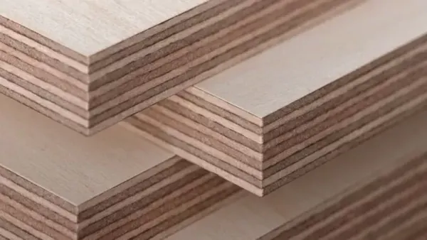 The Cultural Perception Change of Plywood