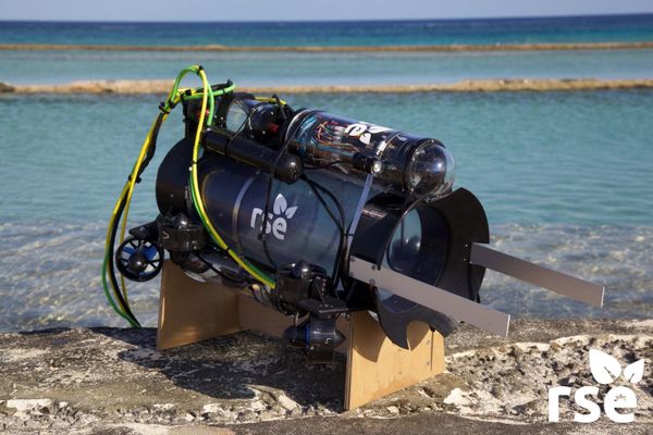 How Robots are Helping Keep Nature in Balance