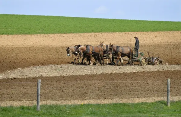 No, Amish kids aren’t immune to cancer, diabetes and autism — and they aren’t vaccine-free, either