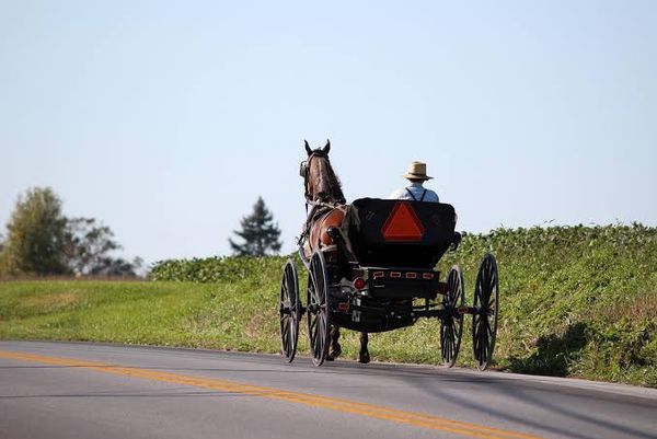 Improving access to genetic services for underserved populations: Amish, Mennonite, and other Plain communities