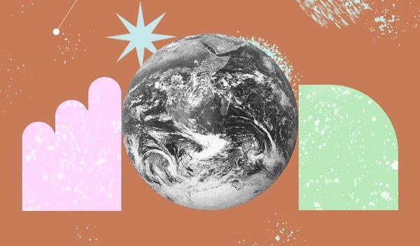 Why libraries will save the world