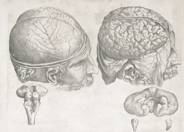 How Our Senses Shape What We Remember