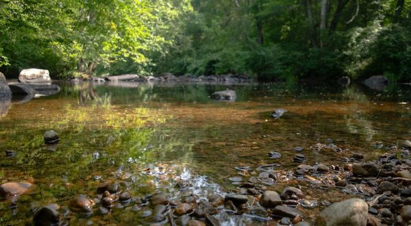 Everyone Deserves Access to Nature
