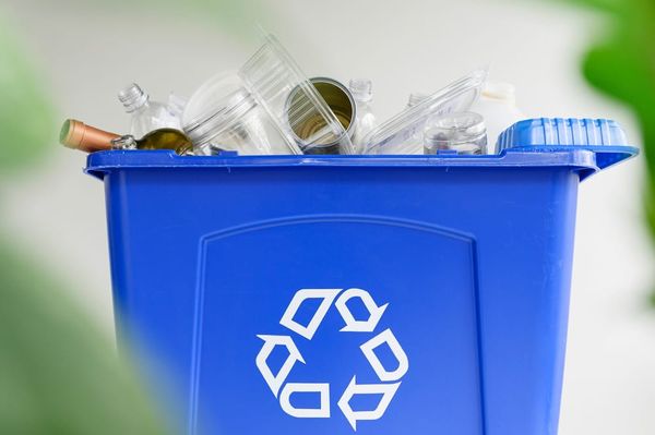 Circular Strategies for Plastics